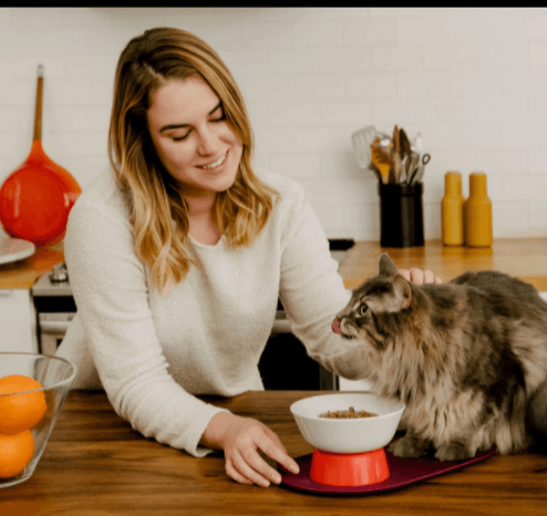 Cat Person Duck Pate Recipe Cat Food