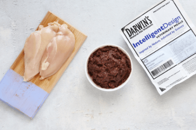 DARWIN'S Intelligent Design KS Veterinary Formula Raw Cat Food