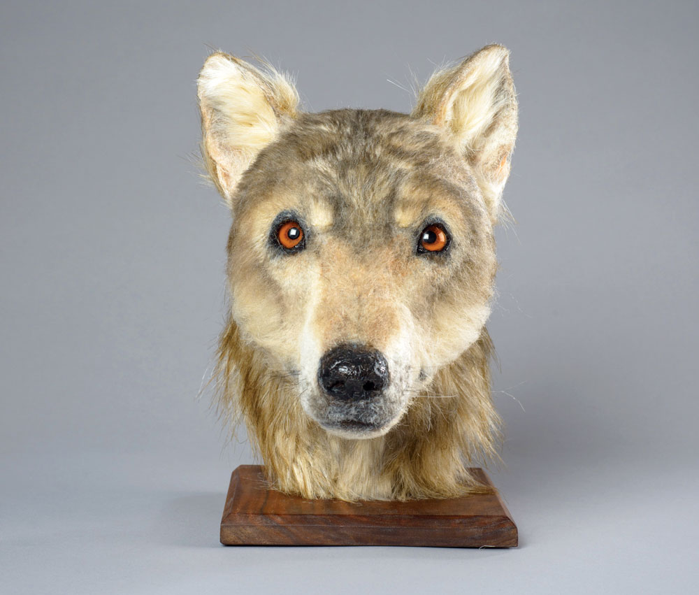 You Can Now See How Neolithic Dogs Looked Like Thanks To Facial Reconstruction