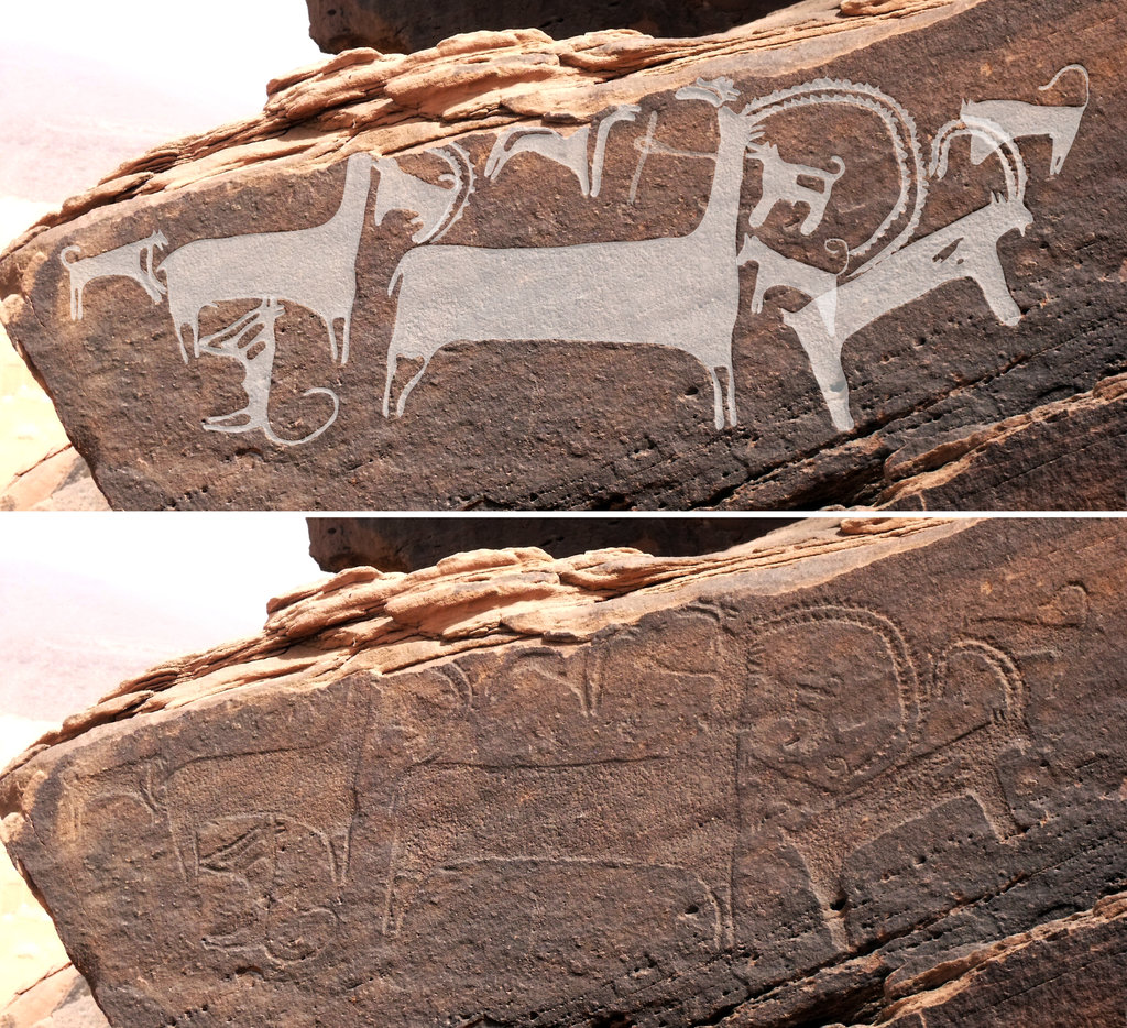 The Earliest Depiction of Dogs Is Rock Art That Is 8000 Years Old