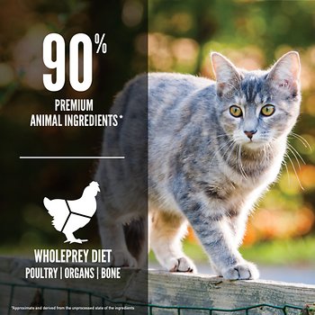 ORIJEN Cat & Kitten Grain-Free Dry Cat Food