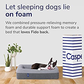 Casper Memory Foam Dog Bed