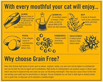 Encore Chicken Dry Food Cat Food