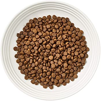 Encore Chicken Dry Food Cat Food
