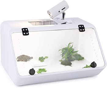 CALPALMY Large Reptile Tank