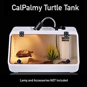 CALPALMY Large Reptile Tank