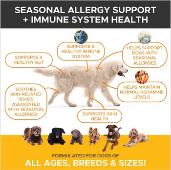 PetHonesty AllergySupport Salmon Flavored Soft Chews