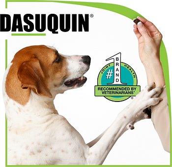 Nutramax Dasuquin with MSM Soft Chews Joint Supplement