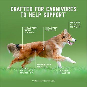 Ziwi Peak Lamb Recipe Canned Dog Food