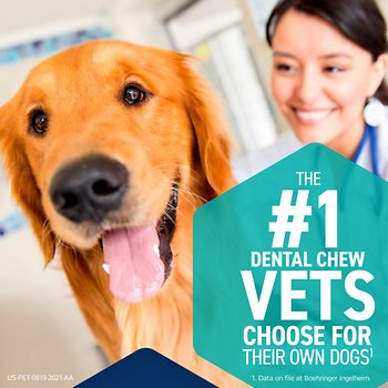 OraVet Hygiene Dental Chews