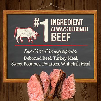 Merrick Grain-Free Real Texas Beef + Sweet Potato Puppy Food