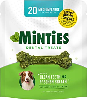 VetIQ Minties Dental Bone Dog Treats