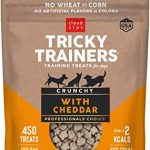 Cloud Star Crunchy Tricky Trainers Cheddar Flavor Dog Treats