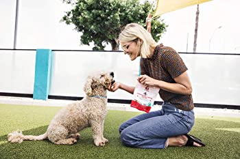 Shameless Pets Lobster Roll(Over) Soft Baked Dog Treats
