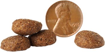 Victor Select Beef Meal & Brown Rice Dry Dog Food
