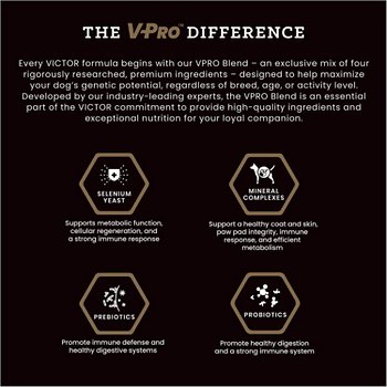 Victor Select Beef Meal & Brown Rice Dry Dog Food