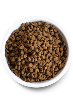 Open Farm Pasture-Raised Lamb Grain-Free Dry Cat Food