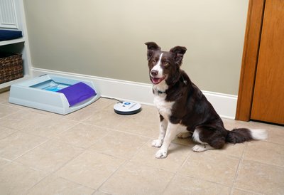 PetSafe Indoor Cat Barrier