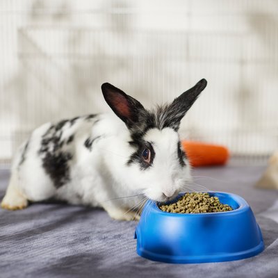 Sherwood Pet Health Adult Rabbit Food