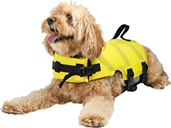 SwimWays Dog Life Vest