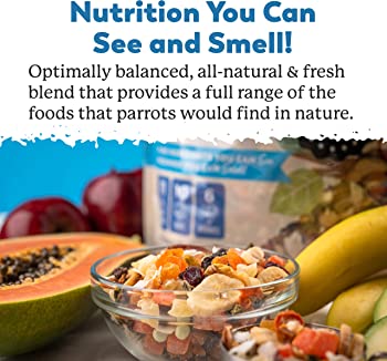 Dr. Harvey's Perfect Parrot Food Natural Food