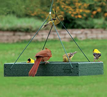 Woodlink Going Green Platform Bird Feeder