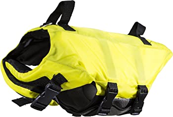 SwimWays Dog Life Vest