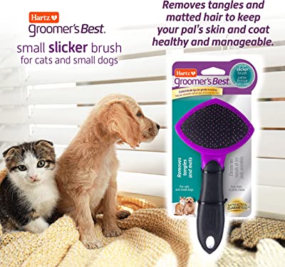 Hartz Slicker Brush For Cats